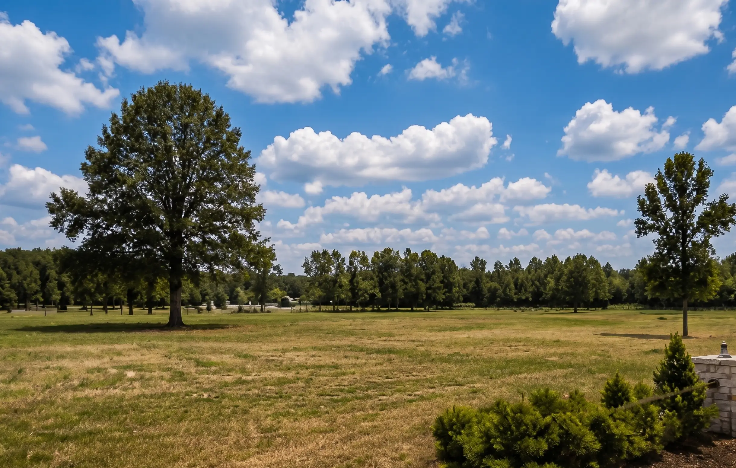 0 Grove Road, Collierville